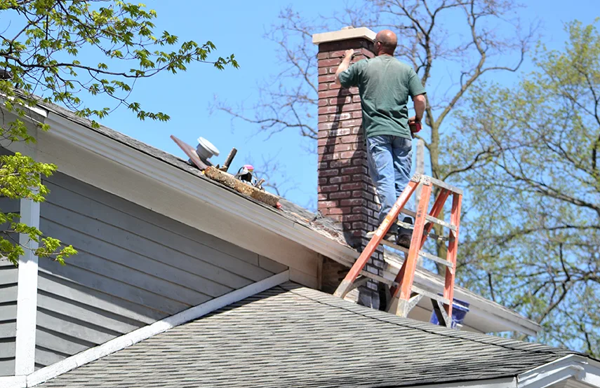 Chimney & Fireplace Inspections Services in Maple Valley, WA